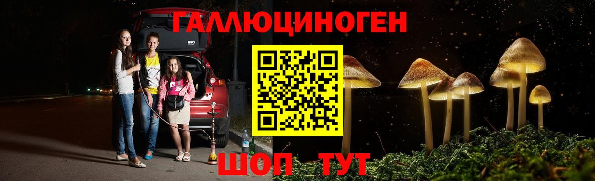 Псилоцибиновые грибы Cubensis Лесной